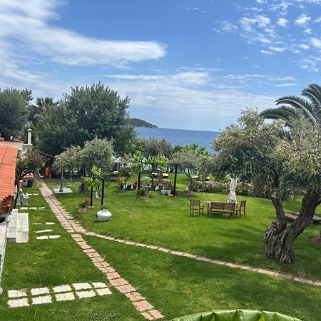 Angeliki Beach Hotel Megali Ammos  Exteriér fotografie